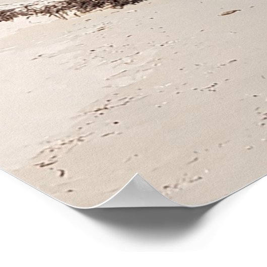 Tropical Beach Ocean Palm Tree Herz Cloud Poster (Ecke)