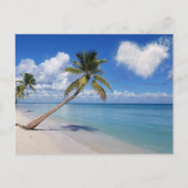 Tropical Beach Ocean Palm Tree Herz Cloud Postkarte (Vorderseite)