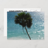 Tropical Beach Palm Tree Postcard Postkarte (Vorne/Hinten)