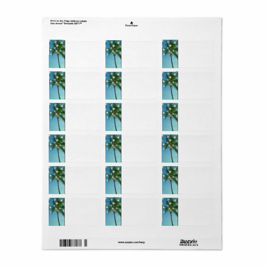 Tropical Beach Palm Trees mit String Lights Blank Adressaufkleber (Vorne)