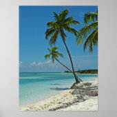 Tropical Beach Poster (Vorne)
