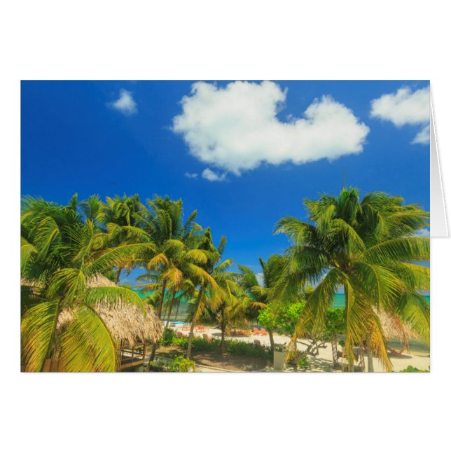 Tropical beach resort, Belize (Vorderseite (Horizontal))