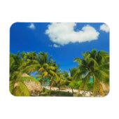 Tropical beach resort, Belize Magnet (Horizontal)