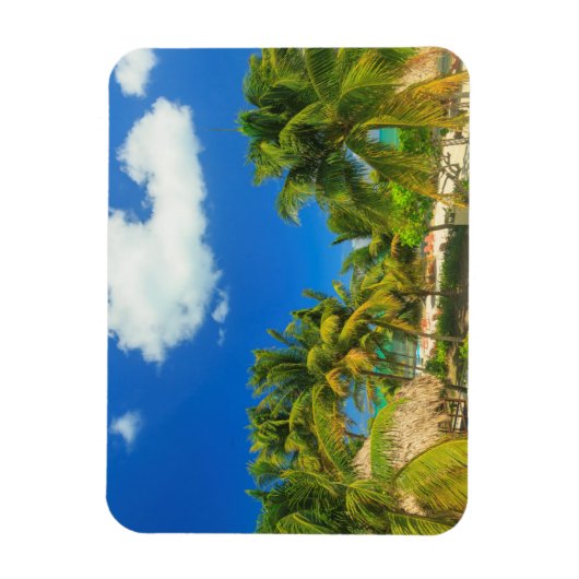 Tropical beach resort, Belize Magnet (Vertikal)