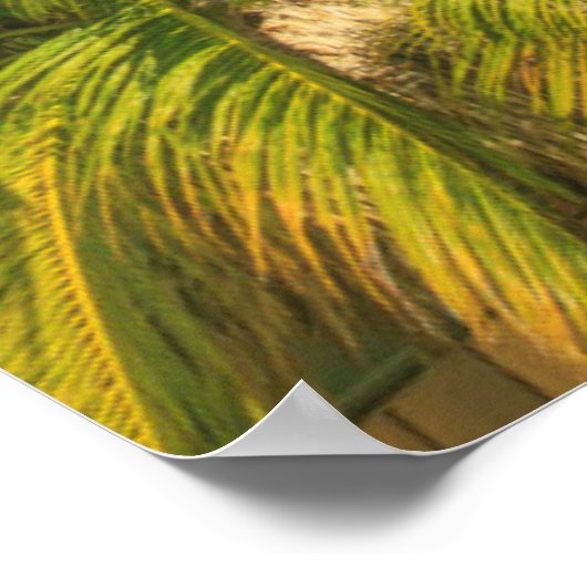 Tropical beach resort, Belize Poster (Ecke)