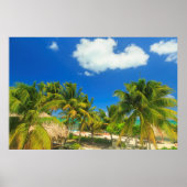 Tropical beach resort, Belize Poster (Vorne)