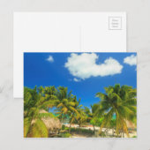 Tropical beach resort, Belize Postkarte (Vorne/Hinten)