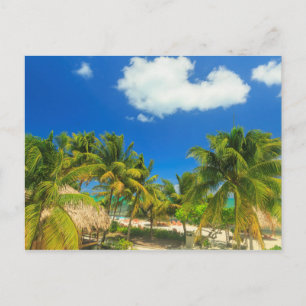 Tropical beach resort, Belize Postkarte
