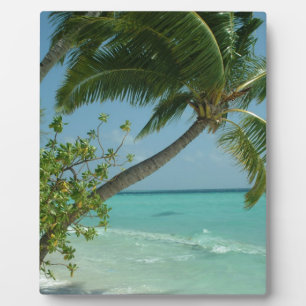 Tropical Beach Sand Sun Water Ocean Waves Surfen K Fotoplatte