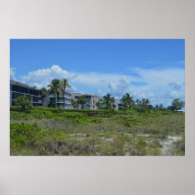 Tropical Beach Side Paradise