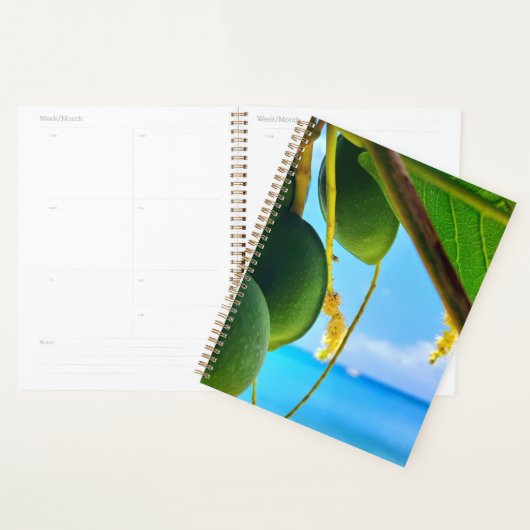 Tropical Beach Vibes Planner | karibisch Inspirier Planer (Anzeige)