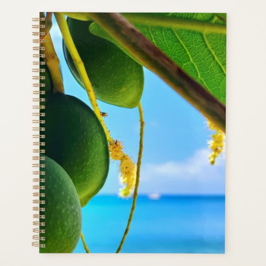 Tropical Beach Vibes Planner | karibisch Inspirier Planer (Vorderseite)