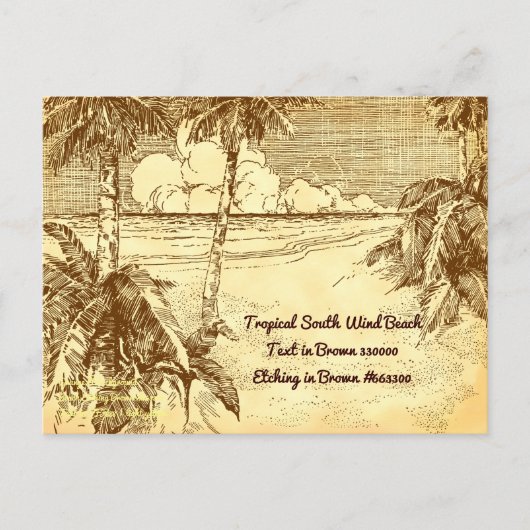 Tropical Beach Vintag Etching Test Postkarte (Vorderseite)
