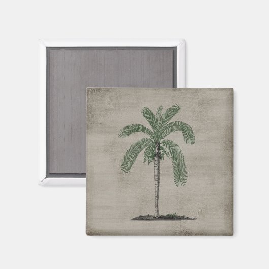 Tropical Beach Vintag Palm Tree Magnet (Vorderseite/Rückseite)