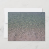 Tropical Beach Wedding Hibiskus Save the Date (Rückseite)