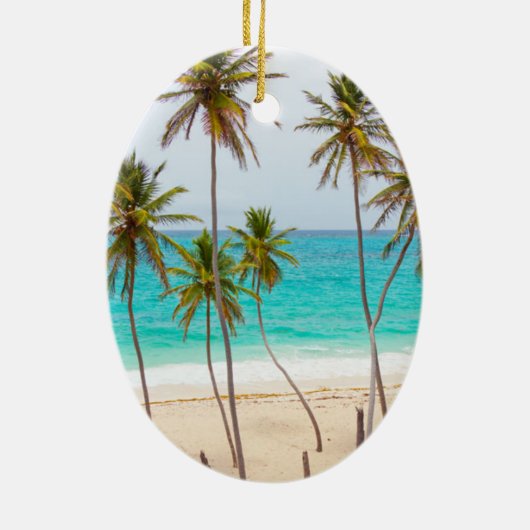 Tropical Beach Weihnachtsschmuck (Hinten)