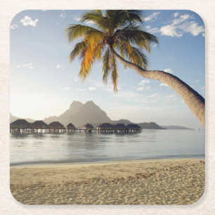 Tropical Beaches   Beach Huts, Bora Bora Rechteckiger Pappuntersetzer