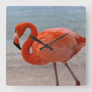 Tropical Beaches   Caribbean Flamingo, Aruba Quadratische Wanduhr