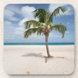 Tropical Beaches Eagle Beach, Aruba Getränkeuntersetzer