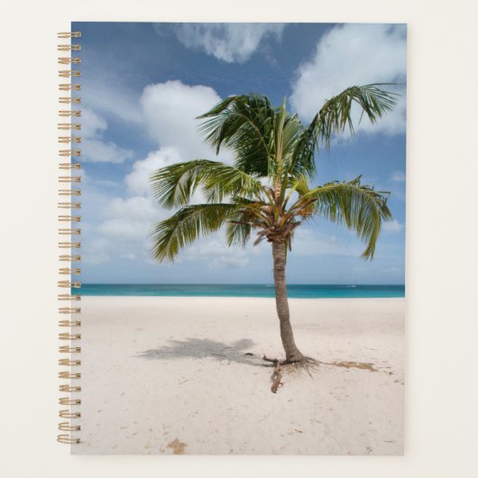 Tropical Beaches | Eagle Beach, Aruba Planer (Vorderseite)
