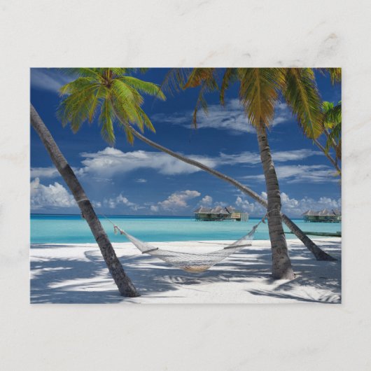 Tropical Beaches | Sandy Beach, Maldives Postkarte (Vorderseite)