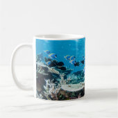 Tropical Beaches Sturgeon | Amongst Coral Kaffeetasse (Links)