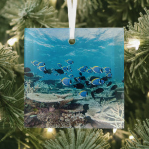 Tropical Beaches Sturgeon Amongst Coral Ornament Aus Glas