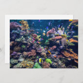 Tropical Beaches | Underwater Coral Reef Dankeskarte (Vorne/Hinten)