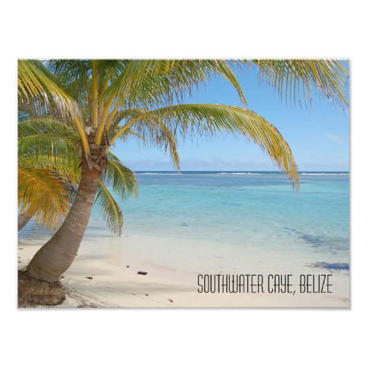 Tropical Belize Beach Caribbean Island Seascape Fotodruck (Vorne)