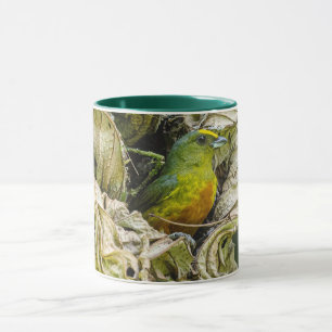 Tropical Bird Art Olive-Backed Euphonie Tasse