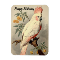 Tropical Bird Birthday Foto Magnet
