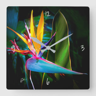 Tropical Bird of Paradies Floral Nature Fine Art Quadratische Wanduhr
