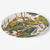 Tropical bird unique paper plates pappteller (Schrägansicht)