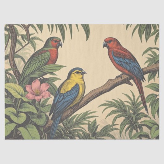 Tropical Birds Bold Illustration Seidenpapier (Vorderseite)