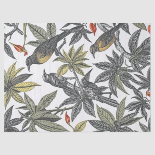 Tropical Birds Bold Illustration Seidenpapier (Vorderseite)