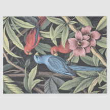 Tropical Birds Bold Illustration