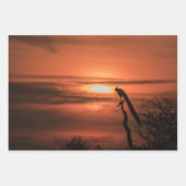 Tropical Birds Geschenkpapier Set (Vorderseite 3)