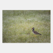 Tropical Birds Geschenkpapier Set (Vorderseite 2)