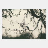 Tropical Birds Geschenkpapier Set (Vorderseite)