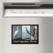 Tropical Birds St. Augustine, Florida Magnet (In Situ (Geschirrspüler))