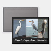 Tropical Birds St. Augustine, Florida Magnet (Vorderseite/Rückseite)