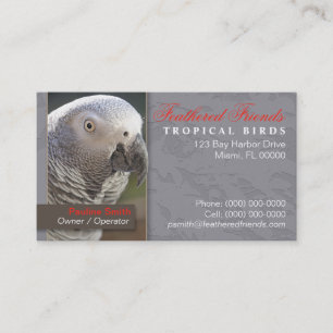 Tropical Birds Visitenkarte