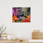 Tropical Blue Butterfly Poster (Küche)