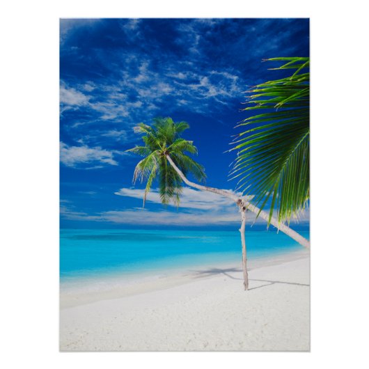 Tropical Blue Exotic Bahamas Beach Palms Poster (Vorderseite)