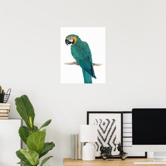 Tropical Blue Macaw Illustration Poster (Heimbüro)