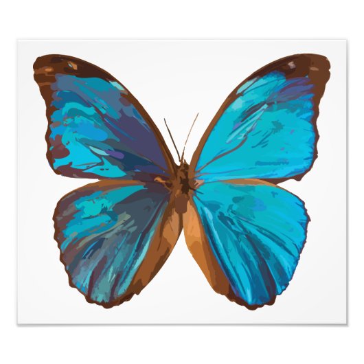 Tropical Blue und Turquoise Gem Butterfly Fotodruck (Vorne)