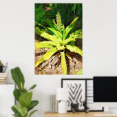 Tropical Bromeliad - Spaziergang im Garten Poster (Heimbüro)