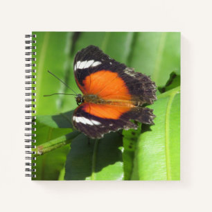 Tropical Butterfly Spiral Notebook Notizblock