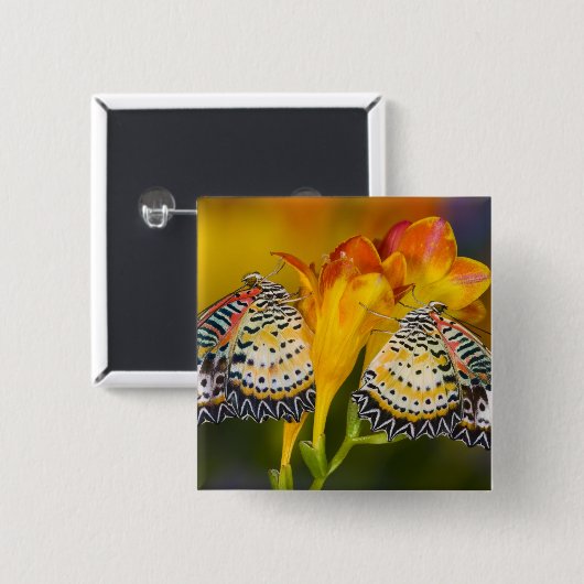 Tropical Butterfly Twins Button (Vorne & Hinten)