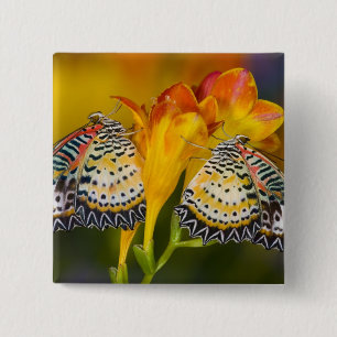 Tropical Butterfly Twins Button